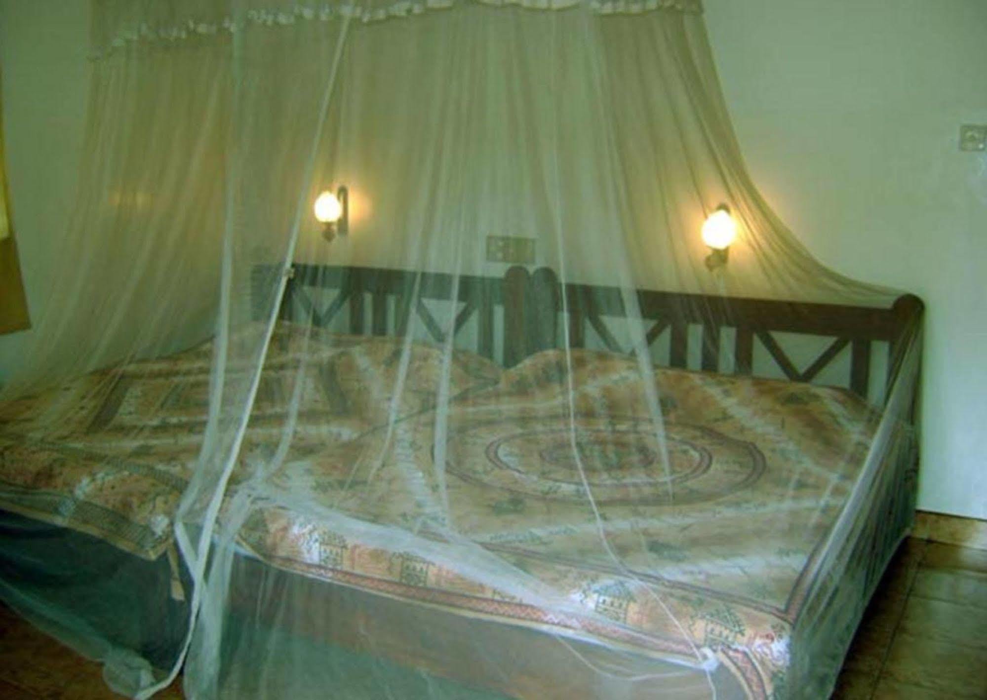 Palm Garden Home Stay Deiyannewela Exterior photo